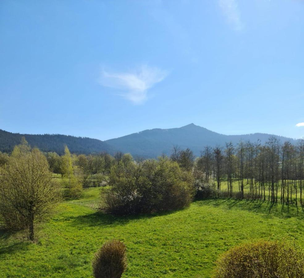 Ferienwohnung Hoamat Schmalzreich Andrea 램 외부 사진